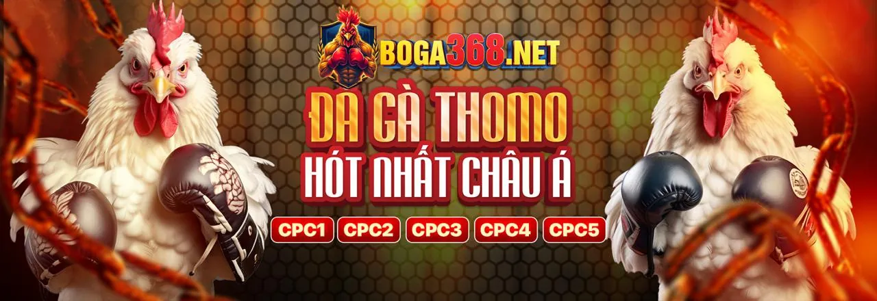 Đá Gà Trực Tuyến Fbet Link Vào 2026